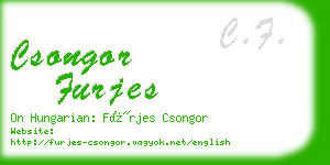 csongor furjes business card